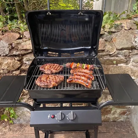 & Jardin - Bbq - Centre-gare Apartment